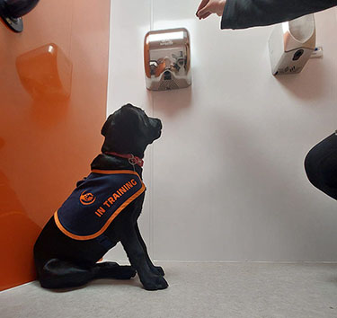 Dogs for Autism testing hand dryers